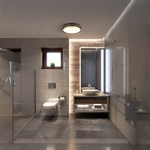 Load image into Gallery viewer, Phoenix 2 Light Black, Brass Metal & Frosted Glass Flush Fitting on bathroom ceiling, LHSL62012-2PB, bathroom flush fitting,