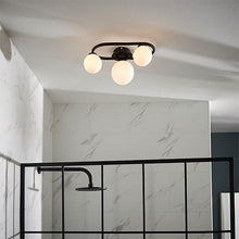 Load image into Gallery viewer, LHEND93524