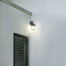 Load image into Gallery viewer, LHTRI9965-32