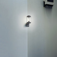 Load image into Gallery viewer, LHTRI9965-32