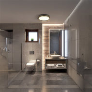 Phoenix 2 Light Black, Brass Metal & Frosted Glass Flush Fitting on bathroom ceiling, LHSL62012-2PB, bathroom flush fitting,